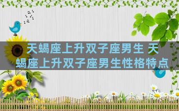 天蝎座上升双子座男生 天蝎座上升双子座男生性格特点